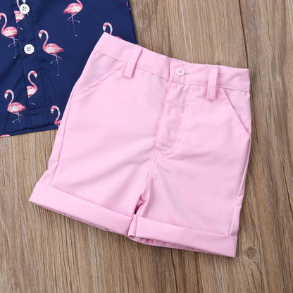 Boys Summer Flamingo Shirt & Shorts Set