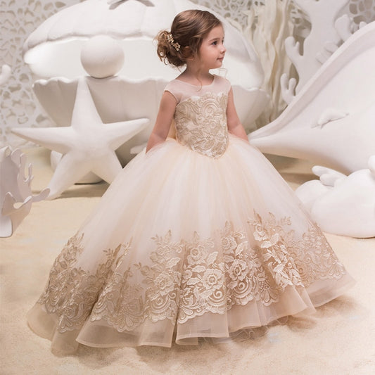Fit For A Princess Embroidered Lace Gown